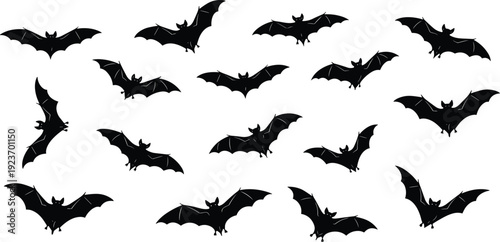 Black bat silhouette vector illustration collection, flying nocturnal animal set isolated on white background, spooky halloween wildlife nature element for design.