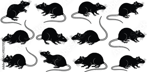 Black vector silhouette set of domestic animals including cat, kitten, rabbit, squirrel, lizard, mouse, and fish icons