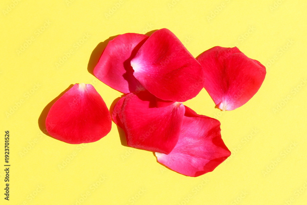 Fototapeta premium There is a pile of red rose petals on a yellow background.