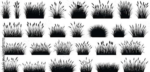 Collection of black meadow grass silhouettes including wild field plants marsh reeds and decorative stalks isolated on white background for natureCollection ite background for nature