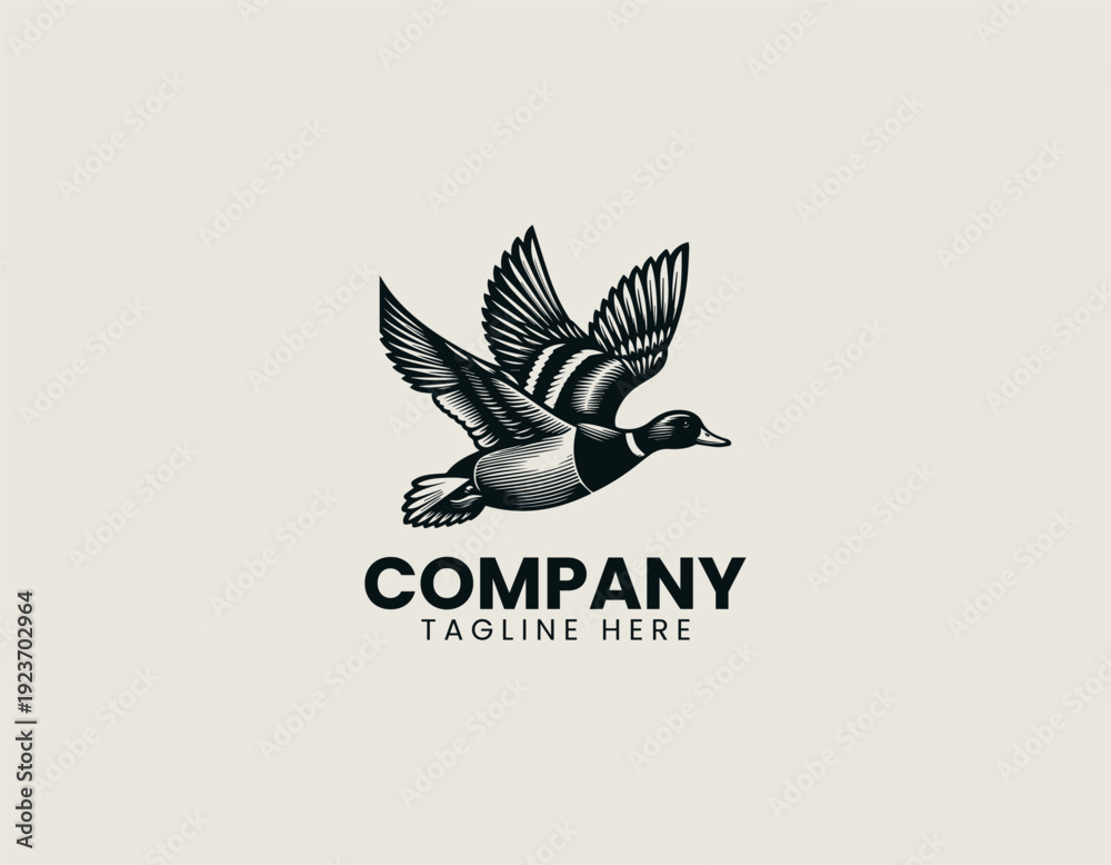 Obraz premium Flying wild duck with extended wings in motion is presented as detailed monochrome vector illustration