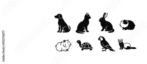 Silhouette of various animals in two rows on a white background silhouette