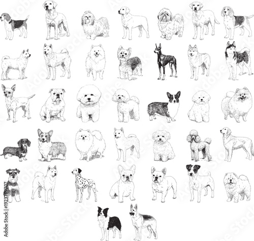Hand Drawn Dog Breeds Collection Sketch Illustration Set