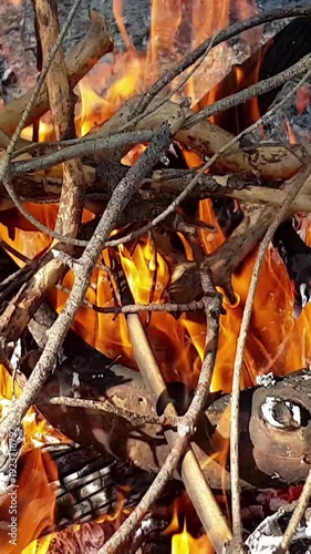 pieces of wood burning in the fire