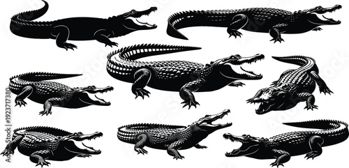 Crocodile silhouette collection, alligator reptile vector, predatory swamp animal icons, wildlife aquatic lizard design elements, dangerous river creature set, nature.