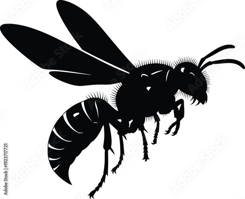 Wasp silhouette in flight shows sharp anatomical details against white.