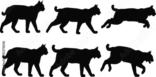 Bobcat silhouette collection, lynx wild cat vector, predatory animal icons, wildlife hunting design elements, forest feline movement, mountain cat silhouettes.