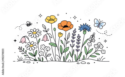 Natural wildflower mix. Different types of wildflowers growing together organically, creating a balanced but unstructured composition with