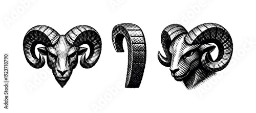 Aries zodiac symbol and ram heads in vintage engraving style