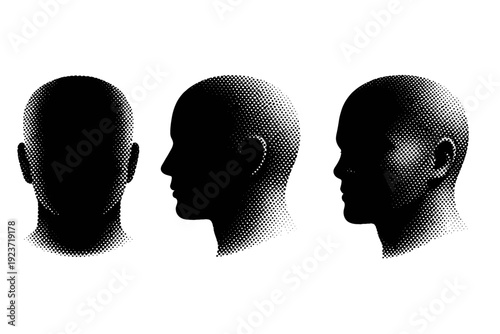 Head silhouette a human head with rounded proportions shown from straight-on view left profile and right three-quarter view focusing on