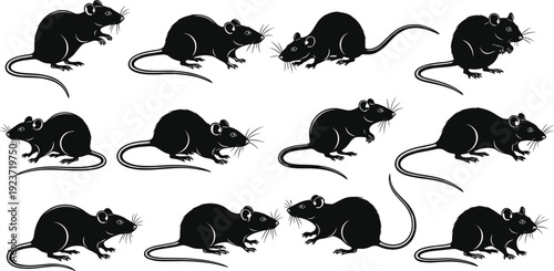 Collection of black rat silhouettes in various sitting and walking poses with rodent footprints isolated on white background for pestCollection of black rat silhouettes in 