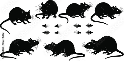 Collection of black rat silhouettes in various sitting and walking poses with rodent footprints isolated on white background for pestCollection of black rat silhouettes in 