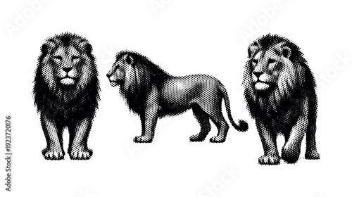 Three lions in different poses, rendered in a classic halftone dot art style