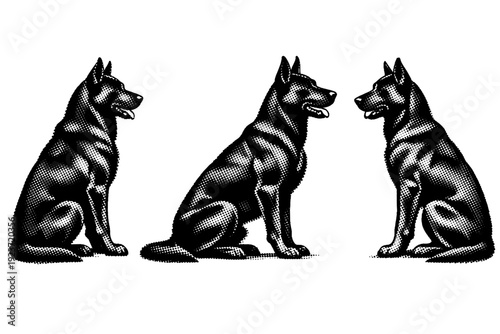 Dog side profile sitting pose with clear silhouette and realistic musculature presented in three different side orientations. Black and white