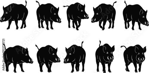 Collection of black wild boar silhouettes including forest hog and feral pig in various standing and walking poses for hunting designsCollection of black wild boar 