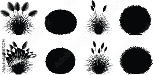 Collection of ornamental grass and round bush silhouettes including pampas grass and garden shrubs isolated on white background for landscape designCollection of ornamental 