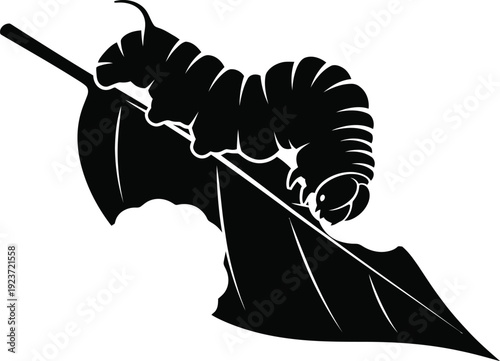 Caterpillar larva silhouette munching on a large damaged leaf.