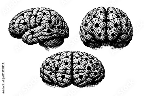 Artificial intelligence brain ? neural network brain. A single neural network brain form shown in three views highlighting folded geometry