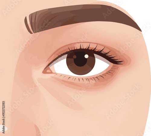 Create a realistic Eye skin wrinkles and saggy skin problem concept. 3D rendering. vector art white background.