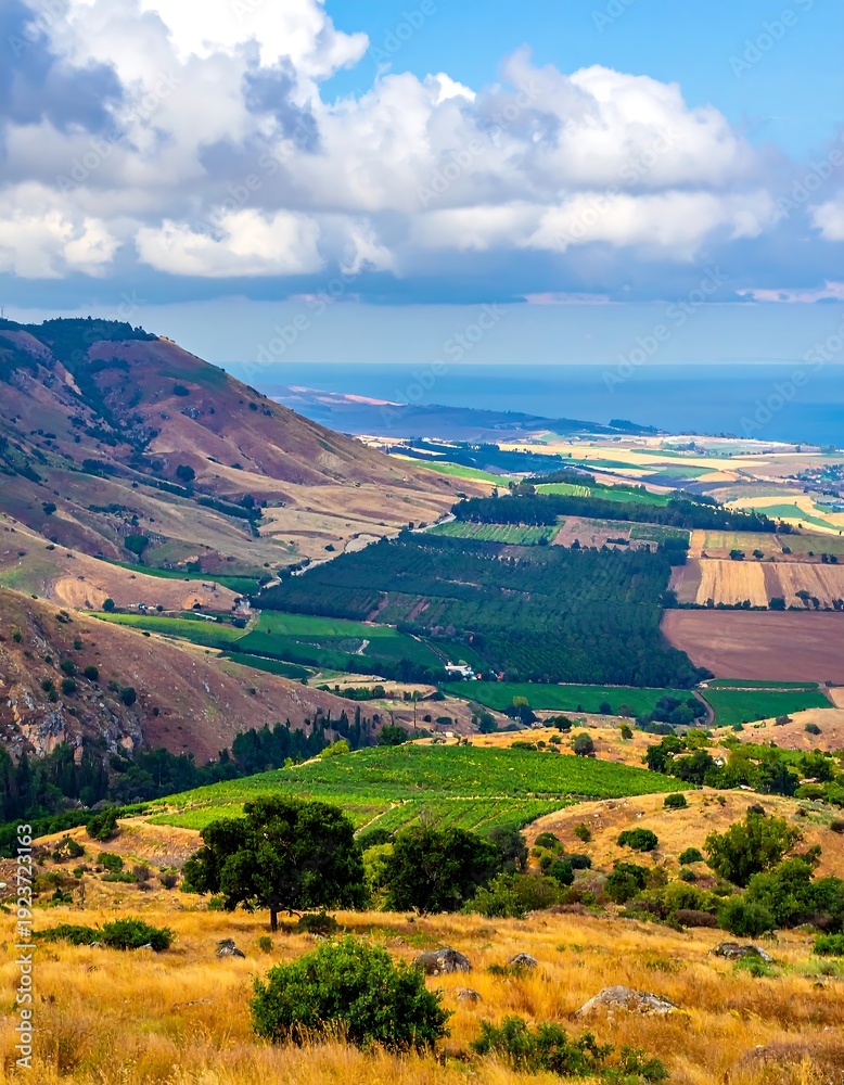Fototapeta premium A landscape with rolling hills, green fields, and distant ocean