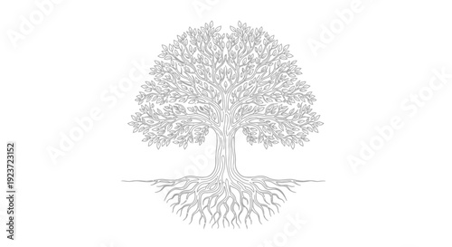A detailed, intricate illustration of a large, mature tree with extensive, visible root system against a white background.