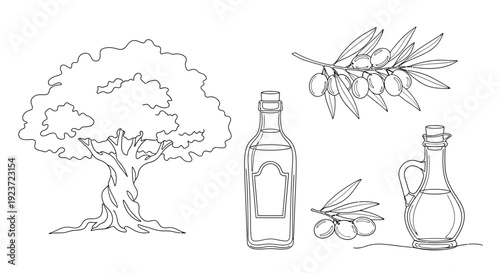 A detailed illustration featuring an ancient olive tree, a branch with olives, two bottles of olive oil, and a sprig of olives.