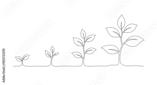 A continuous line drawing illustrating the growth stages of a plant from a small sprout to a mature sapling.
