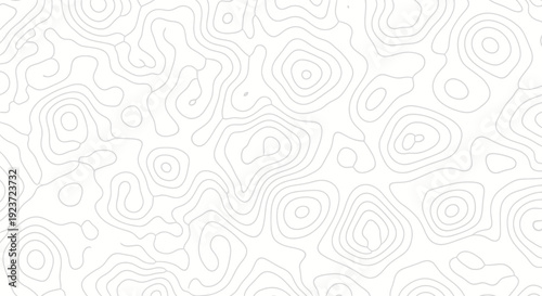 Abstract topographic map lines creating a contour pattern on a white background.