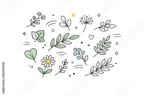 Wild herbs and leaves. Abstract composition of medicinal leaves and flowers floating lightly in space, emphasizing organic forms. Gentle connection to nature