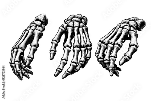Human Hand Skeleton. Skeleton anatomy object a human hand skeleton with articulated finger bones shown in palm-up view side profile and angled view emphasizing