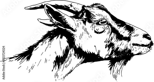 The Goat's Gaze: A Portrait of Serenity