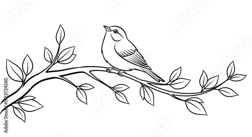 Foto A detailed black and white illustration of a small bird perched on a leafy branch