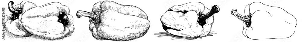 Obraz premium Pepper's Perfection: A Shaky Hand Sketch of a Lumpy Pepper