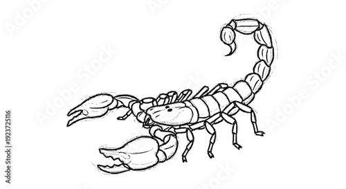 Black and White Scorpion Illustration.