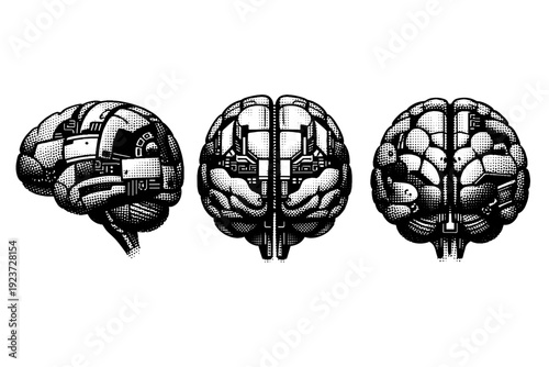Artificial intelligence brain ? abstract machine brain. A single abstract machine brain represented in three views with simplified yet