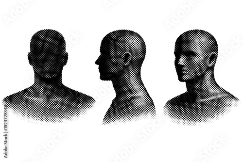 Halftone dotted bust silhouette A bust-length human silhouette shown in front view, side view, and three-quarter view with proportional