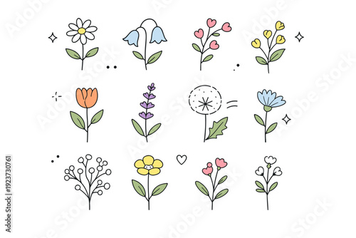 Wildflower illustrations. Simple set of individual wildflower elements displayed as a cohesive collection. Calm botanical mood with modern minimal simplicity.