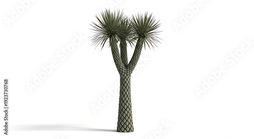 Extinct Carboniferous Lepidodendron Scale Tree with Diamond Pattern Bark Bifurcating Twin Crown and Radiating Needle Leaf Rosettes Full Body Isolated on Pure White Background