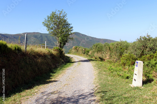Pasture Fences Along Camino to Fonfria July 2024 Dirt path