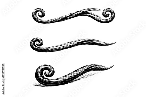 Halftone dotted swirl divider A flowing swirl divider with a continuous curved form shown in front view, side view, and three-quarter view as