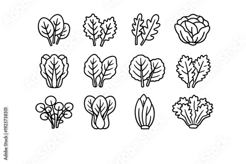 Leafy Greens. Line icon set of Leafy Greens: spinach leaves, kale leaves, arugula leaves, lettuce head, romaine lettuce, chard leaves, collard greens, mustard