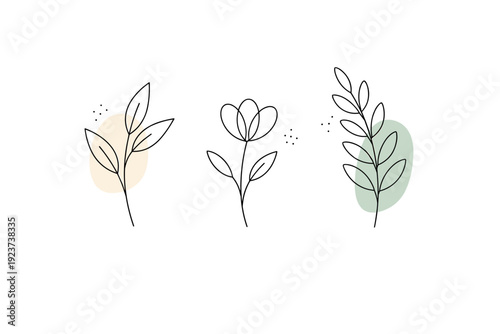 Minimal plant line drawing. Abstracted plant forms reduced to essential lines and curves, forming a clean contemporary botanical