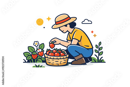 Picking strawberries in a sunny field capturing calm harvest moment a person gently placing ripe berries into a small basket among simple
