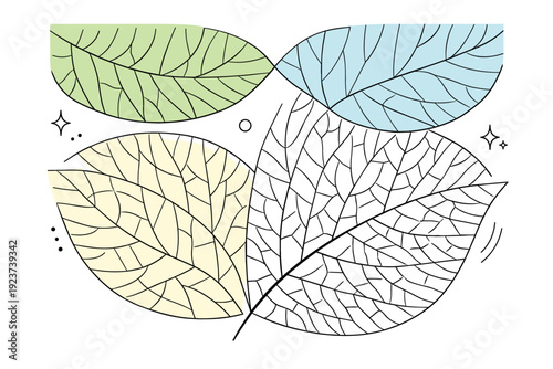 Leaf vein macro patterns. Editorial-style composition of layered organic lines and soft contours, inspired by botanical microscopy and