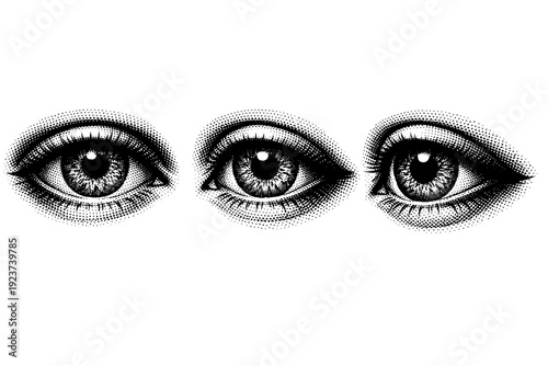 Human eye macro a realistic human eye focusing on iris pupil and eyelids shown in front view slight side view and angled three-quarter view