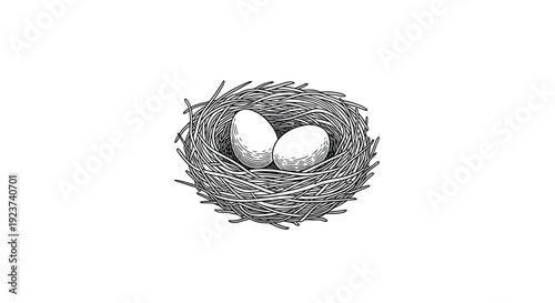 Detailed vintage style illustration depicts two small eggs nestled safely inside a carefully woven bird's nest made of twigs and grass.
