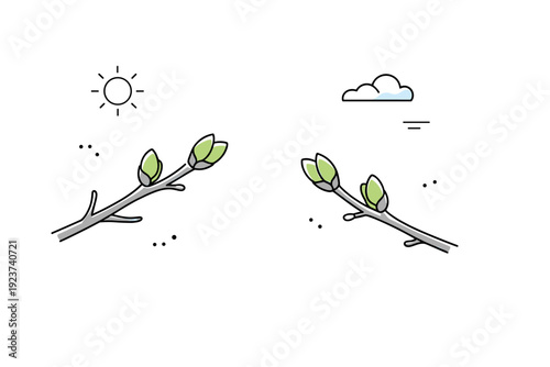 First green buds close-ups after winter. Tiny buds emerging from bare stems, focus on contrast between softness and stillness. Quiet moment