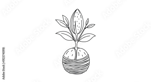 Line drawing of a young plant sprout growing out of a nut or large seed wrapped in multiple layers of twine cord.