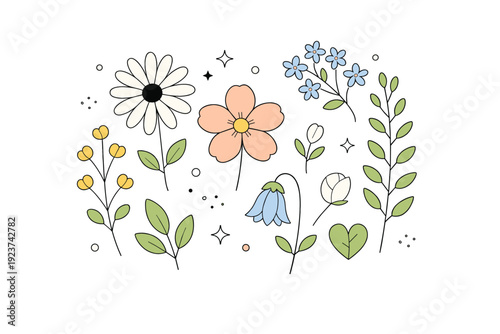 Pressed flower composition. Delicate flattened flowers and leaves arranged carefully on a white surface like a botanical artwork. Calm