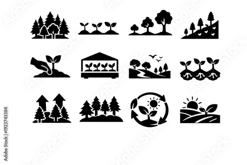 Reforestation. Solid icon set of Reforestation: forest restoration, planted saplings row, tree growth stages, hillside reforestation, native tree planting,